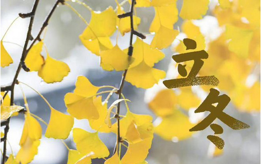 立冬・别了晚秋，遇见初冬 